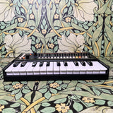 Roland JU-06A Boutique Series Synthesizer w/ K-25M Keyboard - Used