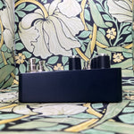 Universal Audio Starlight Echo Station - Used