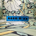 Strymon Ojai R30