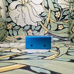 Strymon Ojai R30