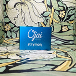 Strymon Ojai