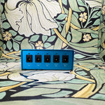 Strymon Ojai