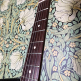 Fender Limited Edition American Professional Telecaster Rosewood Neck Surf Green 2017