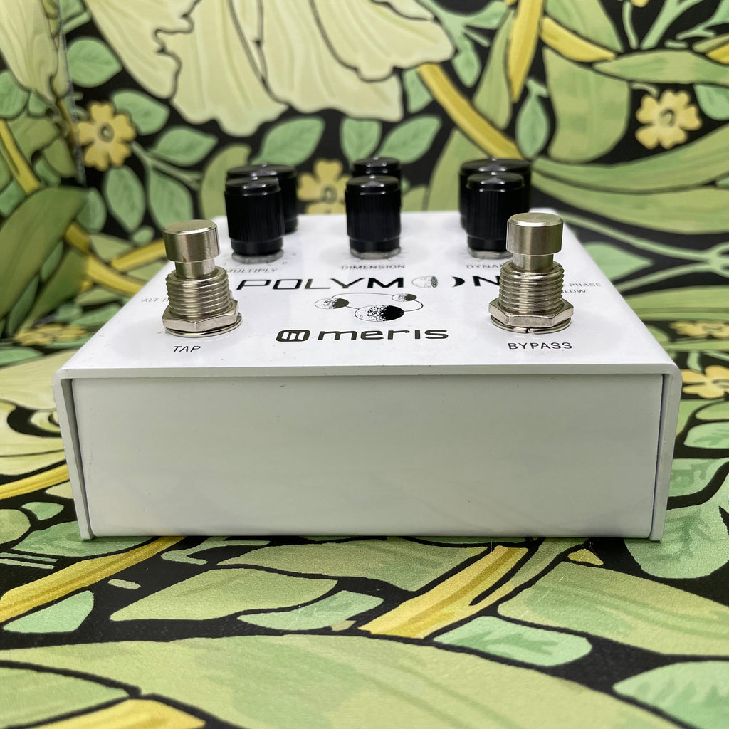 polymoon pedal Meris Polymoon Super-Modulated Delay