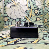 Benson Amps Delay - Used