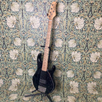 Ernie Ball Music Man Stingray5 H 2015