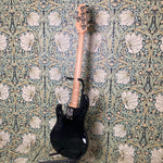 Ernie Ball Music Man Stingray5 H 2015