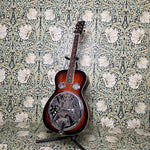 Gold Tone PBR: Paul Beard Signature-Series Roundneck Resonator