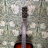 Gold Tone PBR: Paul Beard Signature-Series Roundneck Resonator