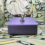 Beetronics FX Pollinator Hazee Delay