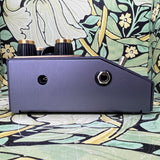 Beetronics FX Pollinator Hazee Delay