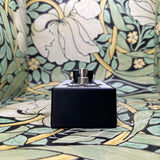 Mattoverse Electronics Bad Passenger Fuzz - Used