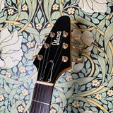 Ibanez Rocket Roll Flying V Model 2387 Korina 1977