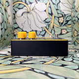 Anasounds + Third Man Hardware La Grotte