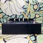 Science Amplification x EAE Mother Preamp
