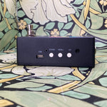 Walrus Audio Canvas Tuner