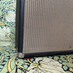 Fender Vibrolux Reverb Amp 1967