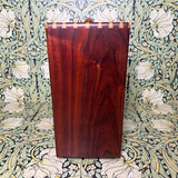 Red Jones Amplification Custom 1x10 Combo Amp