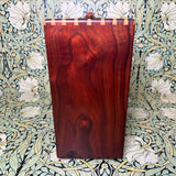 Red Jones Amplification Custom 1x10 Combo Amp