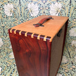 Red Jones Amplification Custom 1x10 Combo Amp