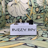 Dirty Boy Buzzy Boy