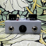 Caroline Guitar Company Megabyte Lofi Delay