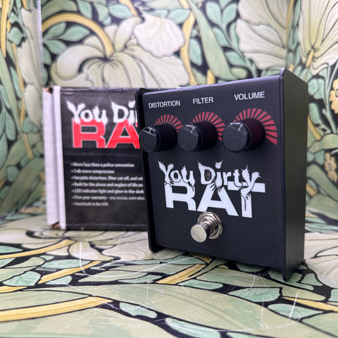 ProCo You Dirty Rat - Used