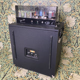 Tyler Amps Flip Top Bass