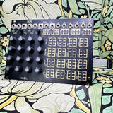 Make Noise Rene v2 Module