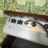 Moog Minimoog Model D