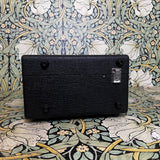 Roland RE-101 Space Echo