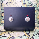Two Button Amp Footswitch - Used