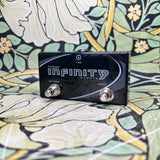 Pigtronix infinity Looper and Footswitch Remote - Used