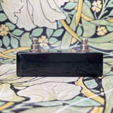 Pigtronix infinity Looper and Footswitch Remote - Used