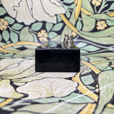 Pigtronix infinity Looper and Footswitch Remote - Used