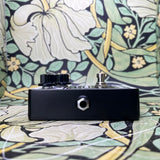 Mr. Black Black LTD. Tri-Chorale