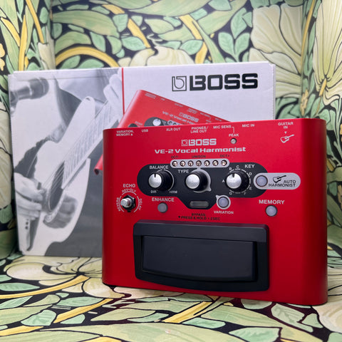 BOSS VE2 VOCAL HARMONIST SPECIAL - Multi Audio Visual