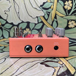 Chase Bliss Mood MkI - Used
