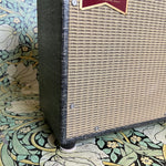 Benson Amps Vinny Reverb Combo "Night Moves"