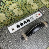 Benson Amps Vinny Reverb Combo "Night Moves"