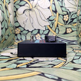 Voodoo Lab Analog Chorus - Used