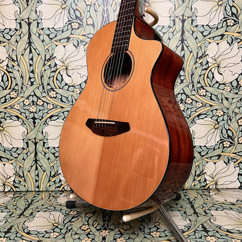 Breedlove Passport Concert