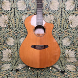 Breedlove Passport Concert