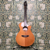 Breedlove Passport Concert