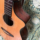 Breedlove Passport Concert