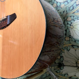 Breedlove Passport Concert