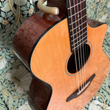 Breedlove Passport Concert