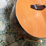 Breedlove Passport Concert