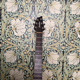 Breedlove Passport Concert