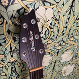 Breedlove Passport Concert